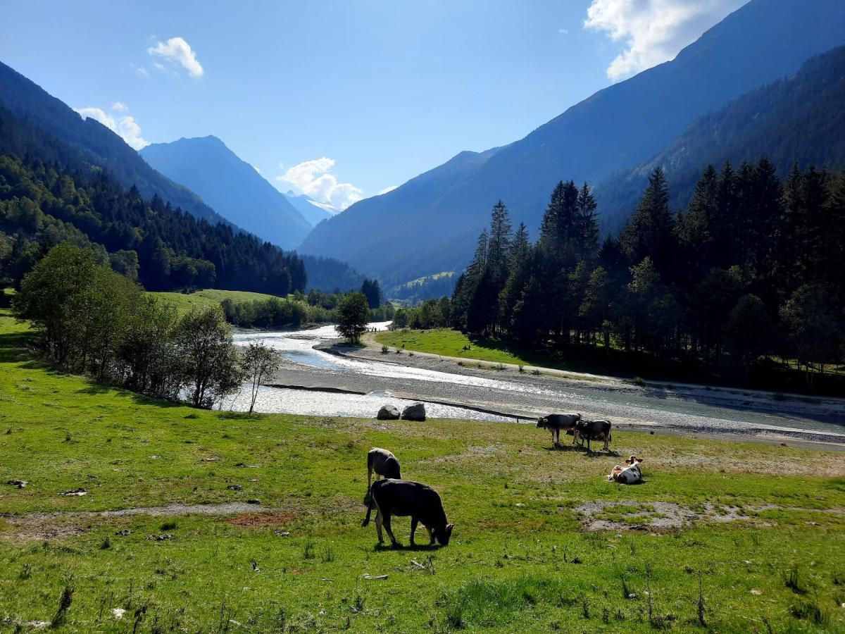 Ferienwohnung Auszeit Stubai Fulpmes Dış mekan fotoğraf